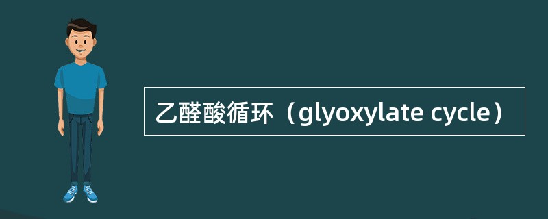 乙醛酸循环（glyoxylate cycle）