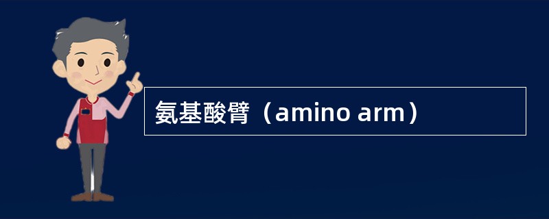 氨基酸臂（amino arm）