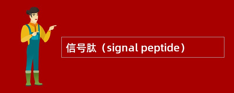 信号肽（signal peptide）