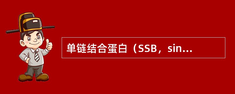 单链结合蛋白（SSB，single-strand binding protein