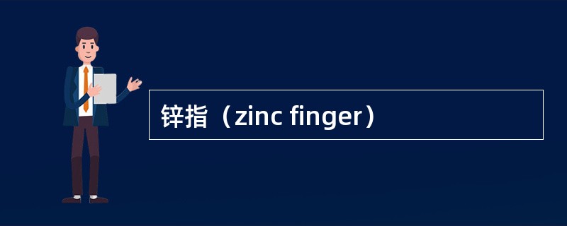 锌指（zinc finger）