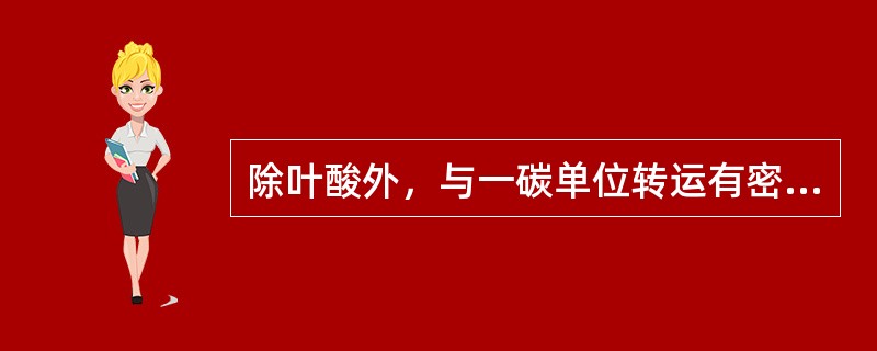 除叶酸外，与一碳单位转运有密切关系的维生素是（）。