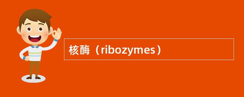 核酶（ribozymes）