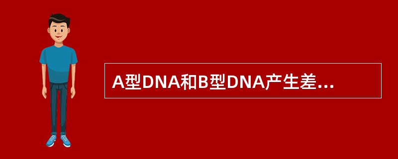 A型DNA和B型DNA产生差别的主要原因（）。