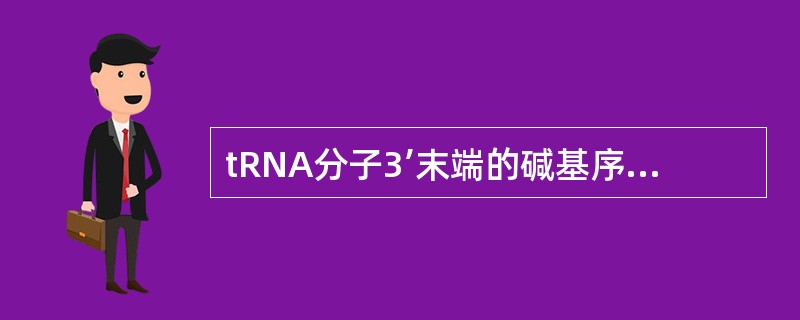 tRNA分子3’末端的碱基序列是（）。