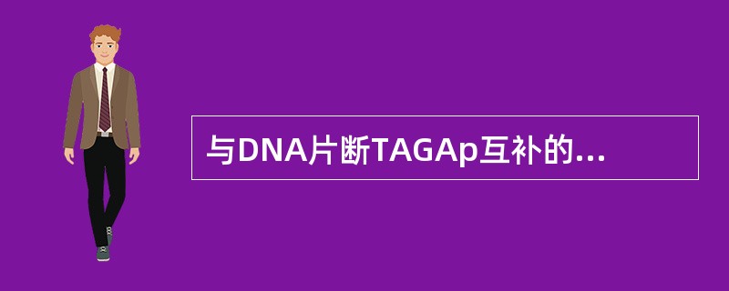 与DNA片断TAGAp互补的DNA片断为（）。