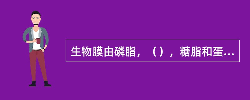 生物膜由磷脂，（），糖脂和蛋白质构成。