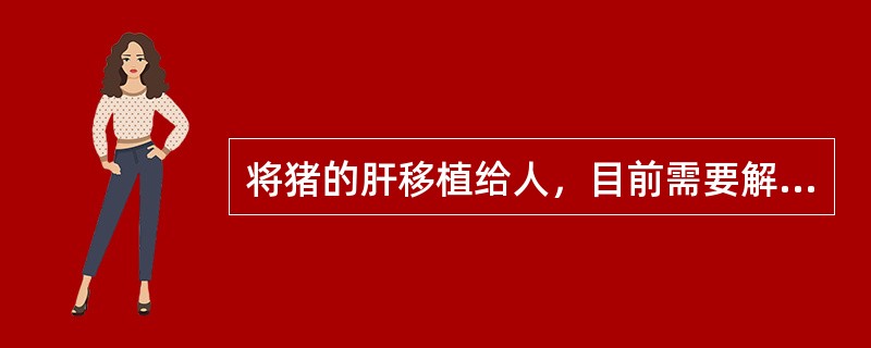 将猪的肝移植给人，目前需要解决的主要问题是（）