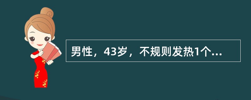 男性，43岁，不规则发热1个多月，伴肝区痛。查体：肝肋下4cm，触痛（+），用甲