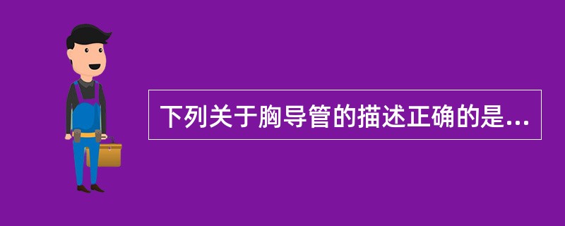 下列关于胸导管的描述正确的是（）。