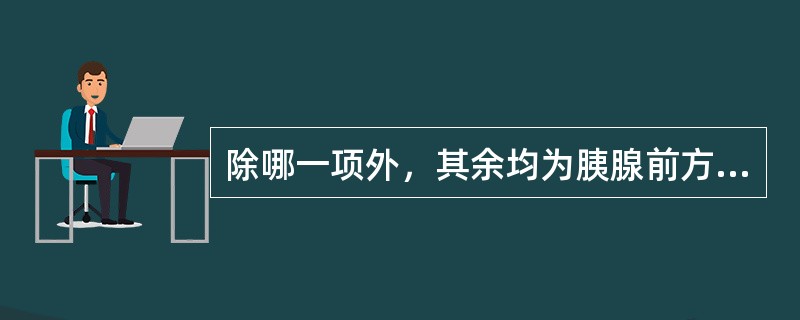 除哪一项外，其余均为胰腺前方的液性肿块（）。