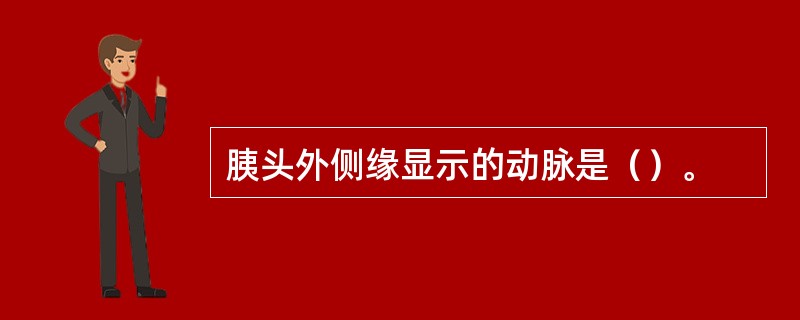 胰头外侧缘显示的动脉是（）。