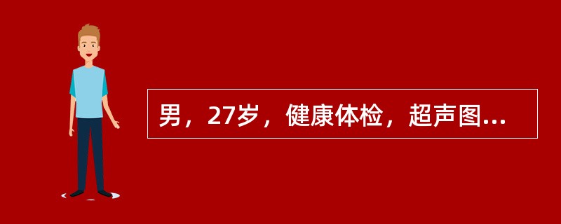 男，27岁，健康体检，超声图中箭头所指为（）。