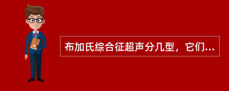 布加氏综合征超声分几型，它们是（）。