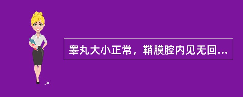 睾丸大小正常，鞘膜腔内见无回声暗区包绕睾丸，应诊断为（）。