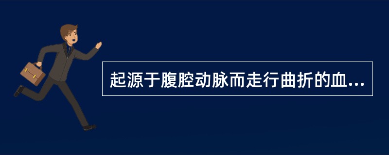 起源于腹腔动脉而走行曲折的血管是（）。