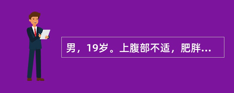 男，19岁。上腹部不适，肥胖。结合超声声像图，诊断为（）。