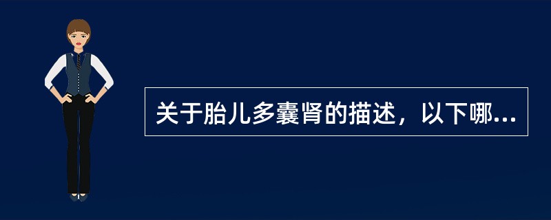 关于胎儿多囊肾的描述，以下哪项正确（）。