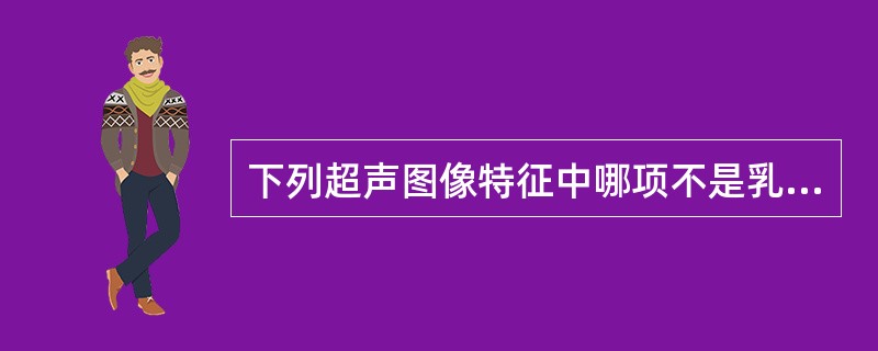 下列超声图像特征中哪项不是乳腺癌的典型表现（）。