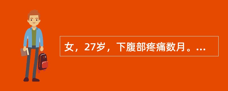 女，27岁，下腹部疼痛数月。体检：右侧附件区增厚、增大，B超检查如图所示，最可能