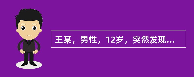 王某，男性，12岁，突然发现阴囊肿胀、剧疼。超声显示：睾丸轻度肿大，中等回声，2