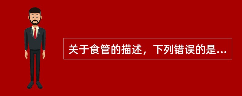 关于食管的描述，下列错误的是（）。