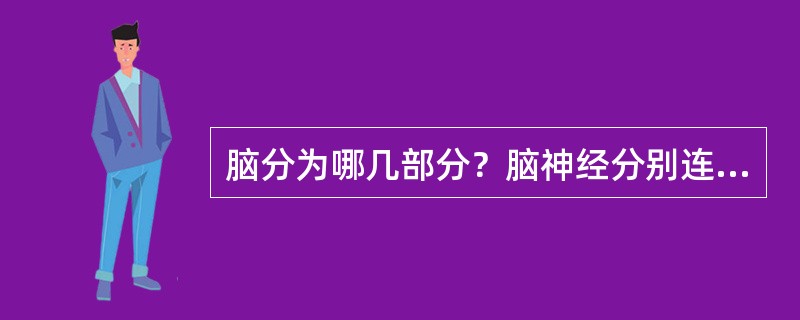 脑分为哪几部分？脑神经分别连于脑的哪些部位？