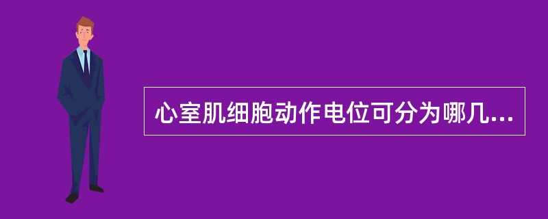 心室肌细胞动作电位可分为哪几个期？各期形成的主要原因是什么？