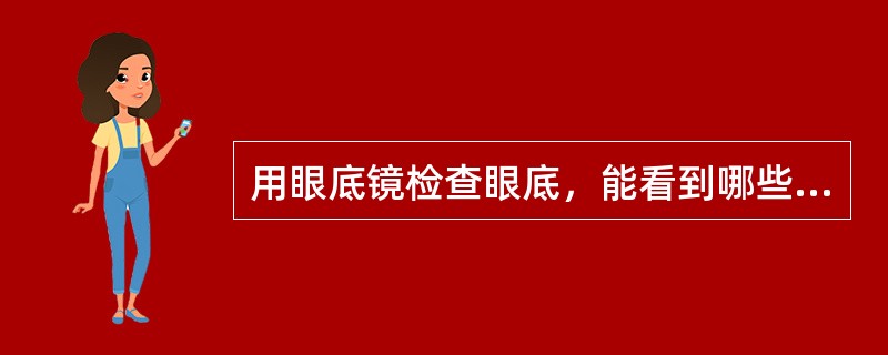 用眼底镜检查眼底，能看到哪些结构？