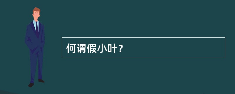 何谓假小叶？