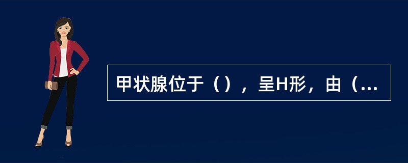 甲状腺位于（），呈H形，由（）组成。