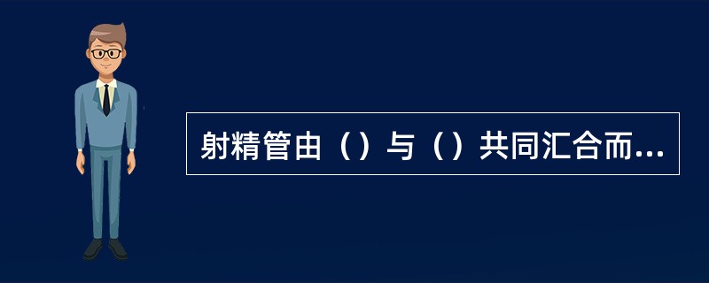 射精管由（）与（）共同汇合而成。