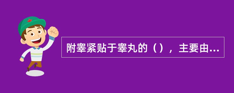 附睾紧贴于睾丸的（），主要由（）构成。