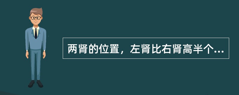 两肾的位置，左肾比右肾高半个椎骨，第12肋斜过左肾后面的（）部，右肾后面的（）部