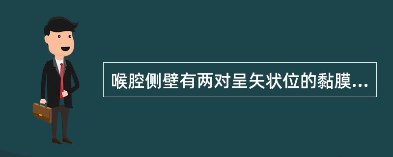 喉腔侧壁有两对呈矢状位的黏膜皱襞，上方一对为（）；下方一对为（），内含有声韧带。