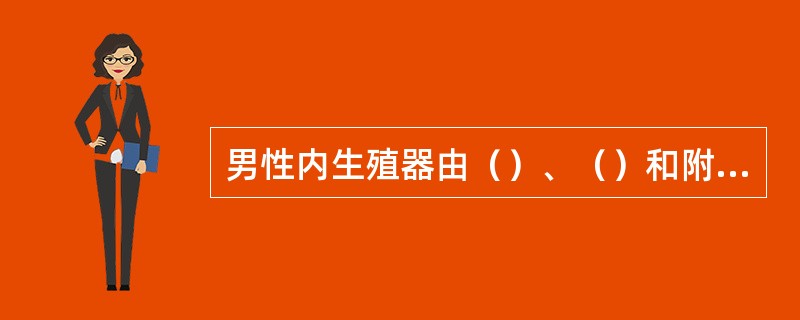 男性内生殖器由（）、（）和附属腺组成。