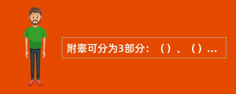 附睾可分为3部分：（）、（）和附睾尾。