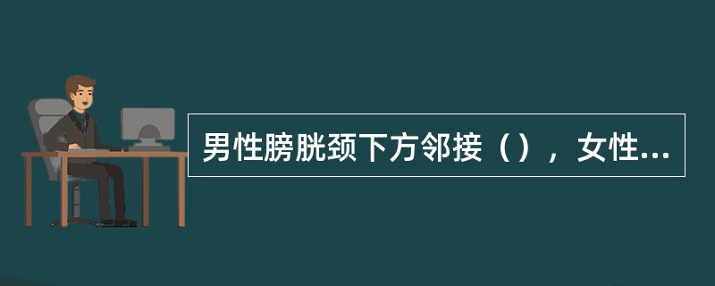 男性膀胱颈下方邻接（），女性邻接（）。