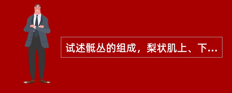 试述骶丛的组成，梨状肌上、下孔各有哪些神经通过？