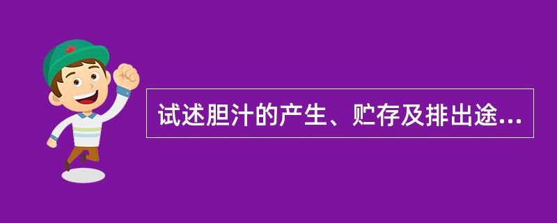 试述胆汁的产生、贮存及排出途径。