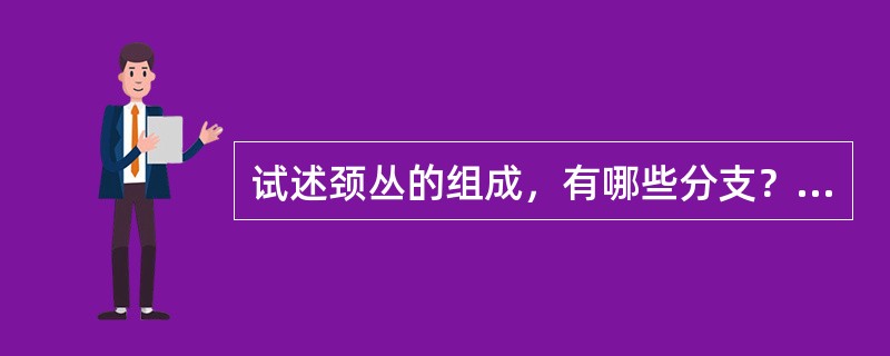 试述颈丛的组成，有哪些分支？有何重要的分支？