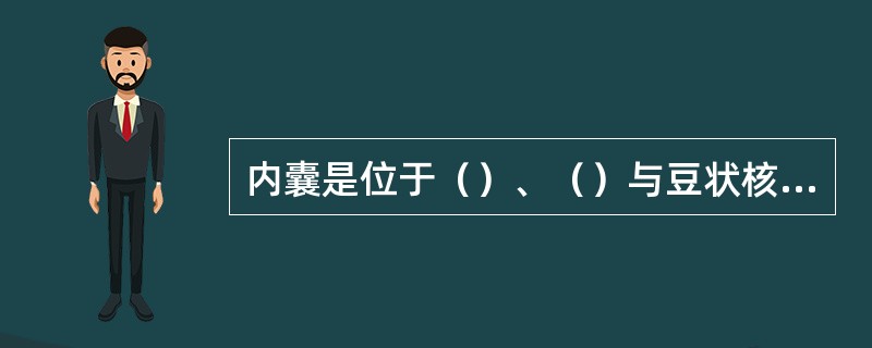 内囊是位于（）、（）与豆状核之间的白质。