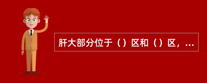 肝大部分位于（）区和（）区，小部分位于左季肋区。