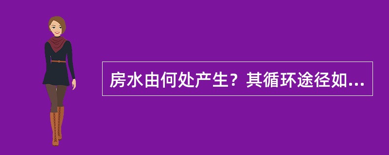 房水由何处产生？其循环途径如何？