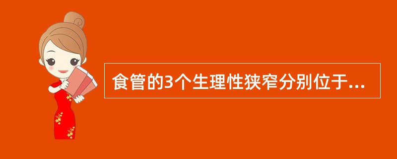 食管的3个生理性狭窄分别位于何处？它们距中切牙的距离分别是多少？