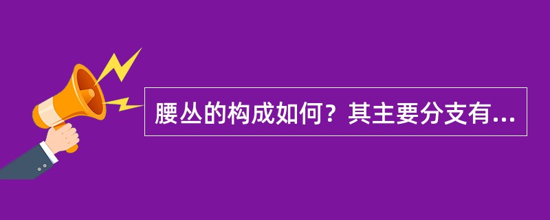 腰丛的构成如何？其主要分支有哪些？