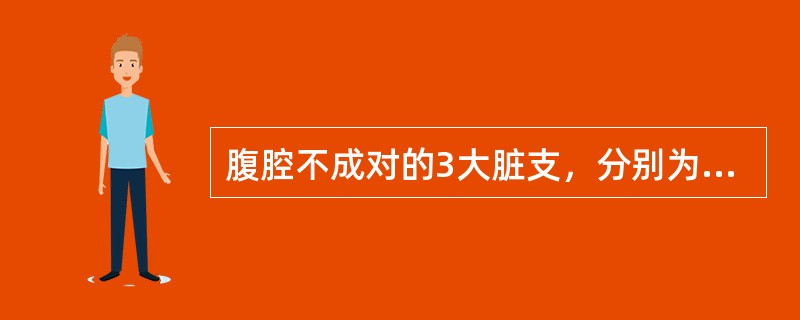 腹腔不成对的3大脏支，分别为肾动脉、肠系膜上动脉和肠系膜下动脉。（）