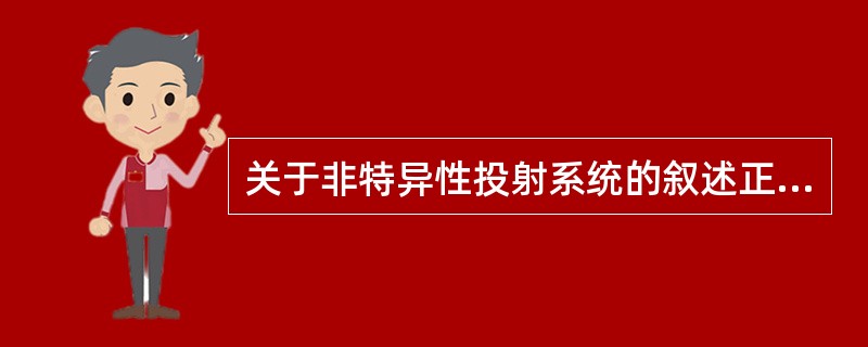 关于非特异性投射系统的叙述正确的是（）