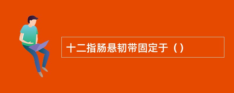 十二指肠悬韧带固定于（）