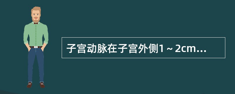 子宫动脉在子宫外侧1～2cm处，经过输尿管的后方并与其交叉。（）